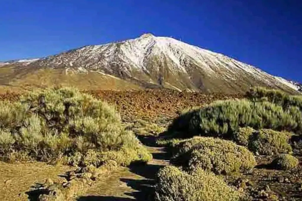 Apartamento Tinerfe El Grande La Laguna  La Laguna (Tenerife)